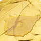 ⏳50% off💛Weather Resistant Water-based Gold Paint💛