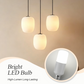 High-Lumen Long-Lasting Bright LED Bulb