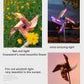 🏡Garden Solar Windmill Light