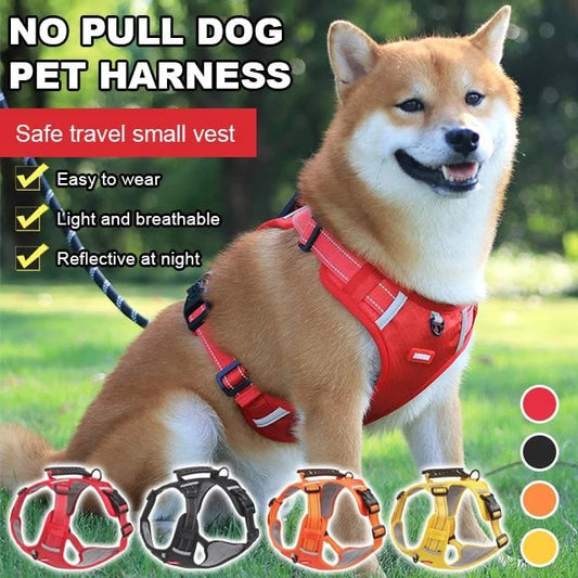 🐕2024 New Pet Harness