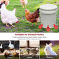 🔥🔥Gift For Chicken Lovers 49% OFF--🔥Automatic Chicken Water Cup Bird Coop